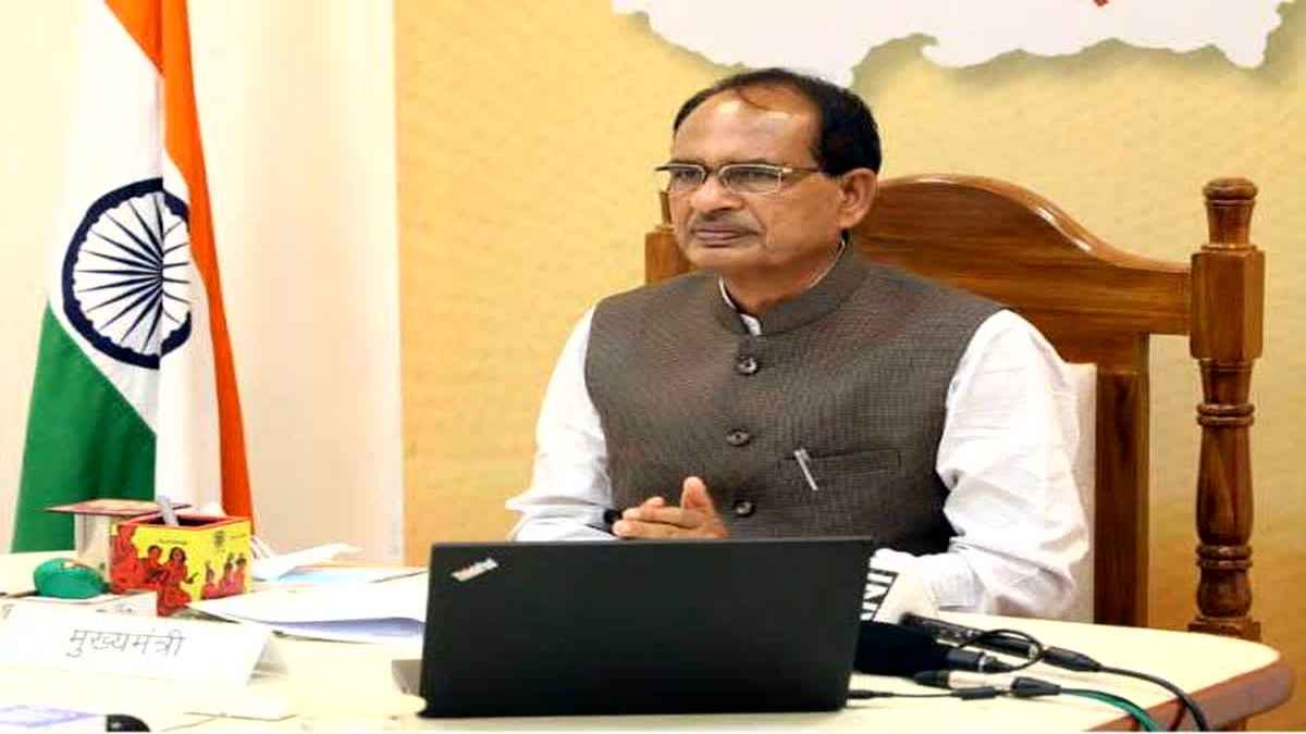 Madhya Pradeh News, MP Election , Hindi News, Cabinet Meeting