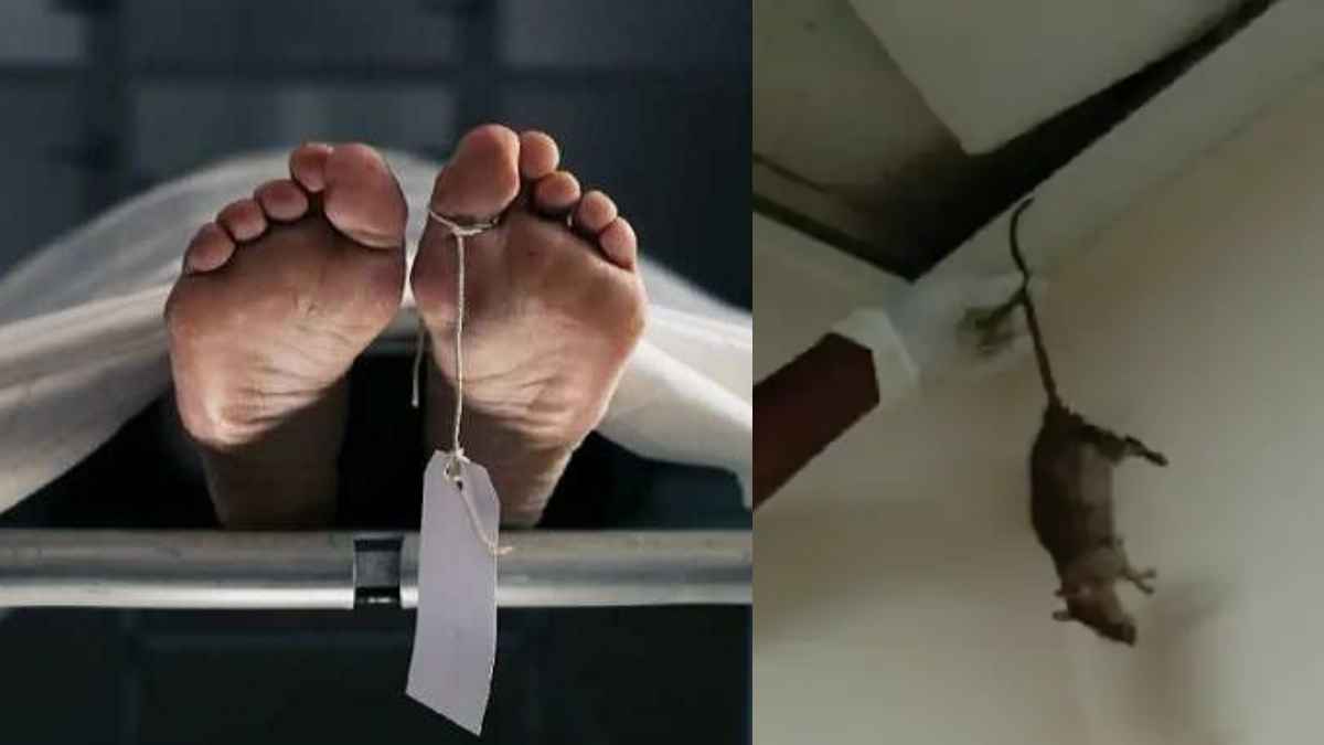 छत्तीसगढ़ में मोर्चरी में चूहों ने कुतरा बुजुर्ग महिला का शव, परिजन बोले- हद हो गई लापरवाही की
