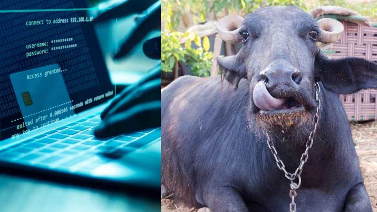 image (91)