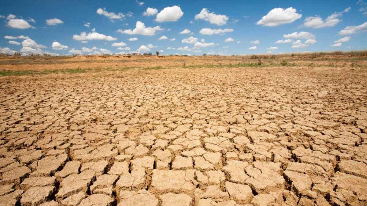 Global Warming: क्यों बढ़ता जा रहा धरती का तापमान? 6 वजह आईं सामने, सबसे बड़ा कारण इंसान