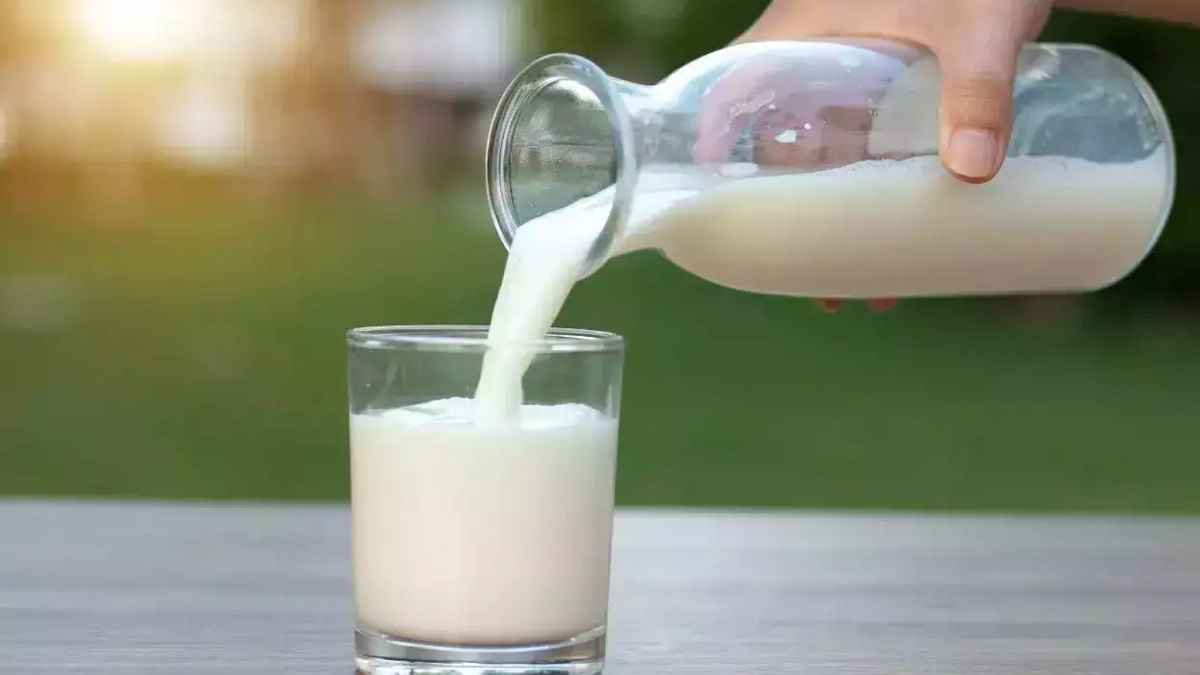 Milk Color White