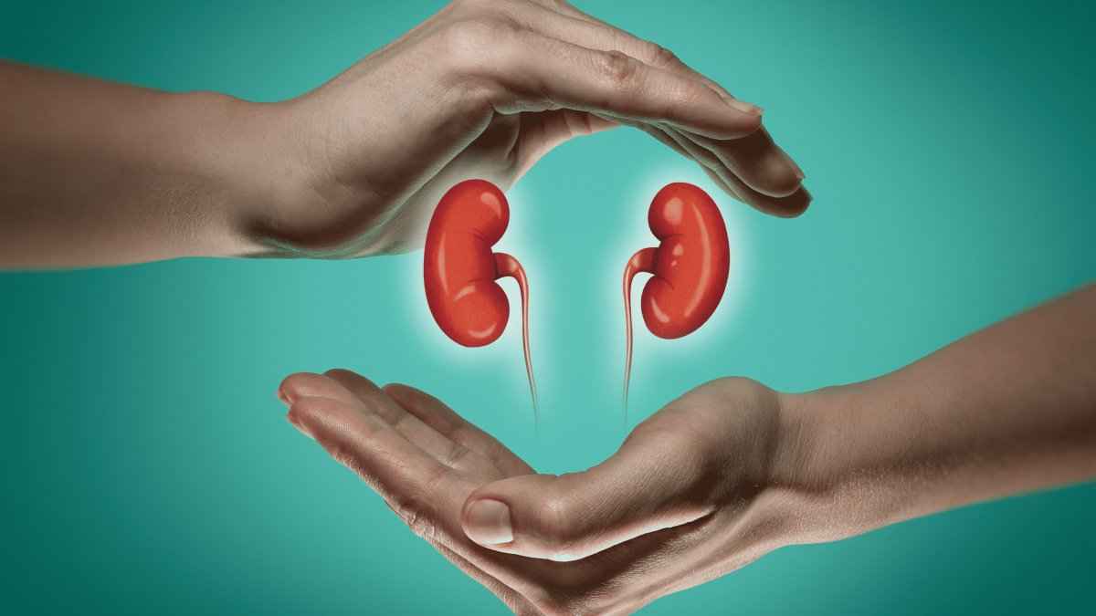10 आदतें, जो खराब कर सकती हैं किडनी, जानते हुए भी रुटीन में दोहराना घातक
