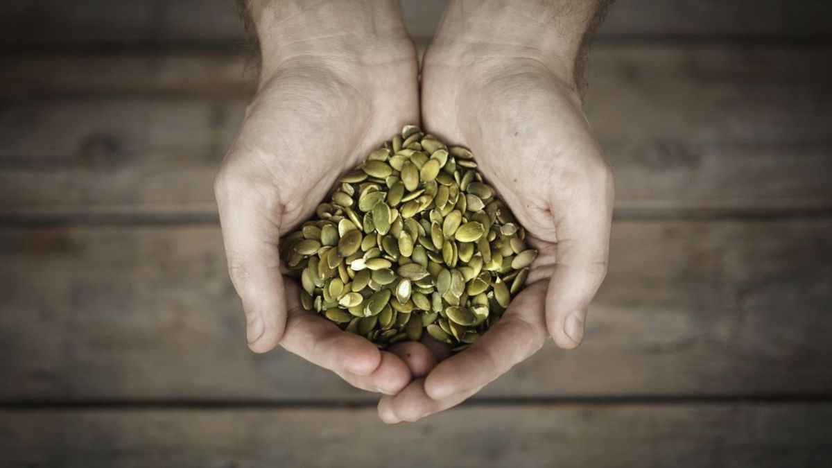 Man Power Booster: पुरुष इस फल के बीज खाएं, 5 गुणकारी तत्व शादीशुदा लाइफ बनाएंगे खुशहाल