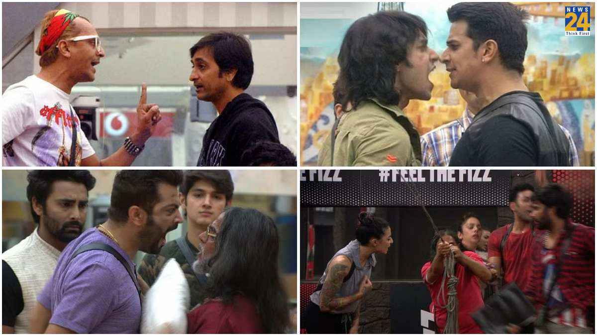 Bigg Boss Most Aggressive Contestants
