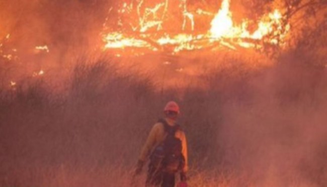 2023 will be the warmest 125000 years