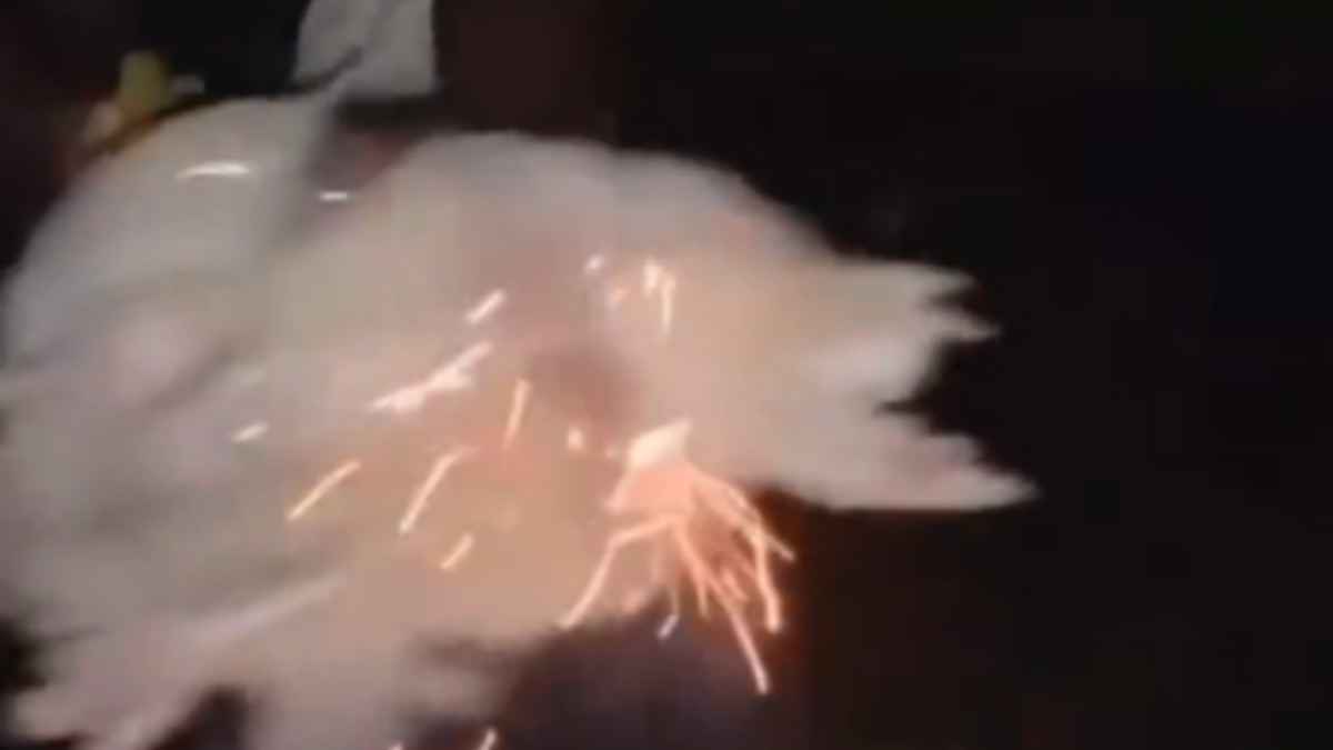 4 लड़कों ने मुर्गी के प्राइवेट पार्ट में फोड़ा पटाखा, दर्दनाक मौत का वीडियो आया सामने