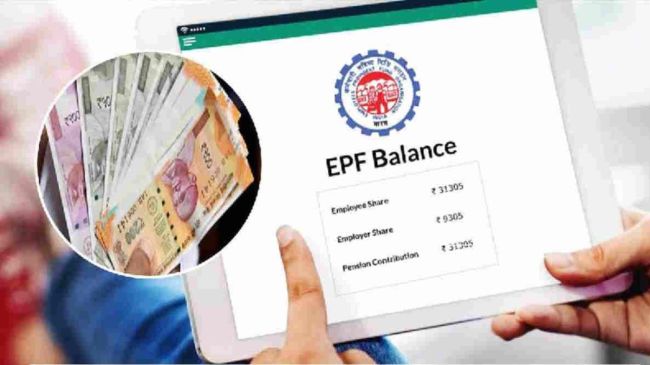 pf balance pf balance, epfo, business news,