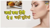 anti aging herbs for face, anti aging herbs and spices, anti aging foods and herbs, best herbs for anti aging skin, ayurvedic herbs for anti aging, anti aging cream, ayurvedic herbs for skin tightening, best herbs for skin regeneration,