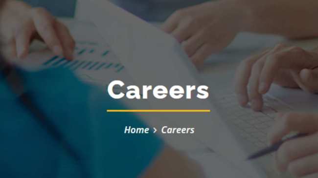 BECIL Bharti 2023 Job Opportunity Naukri