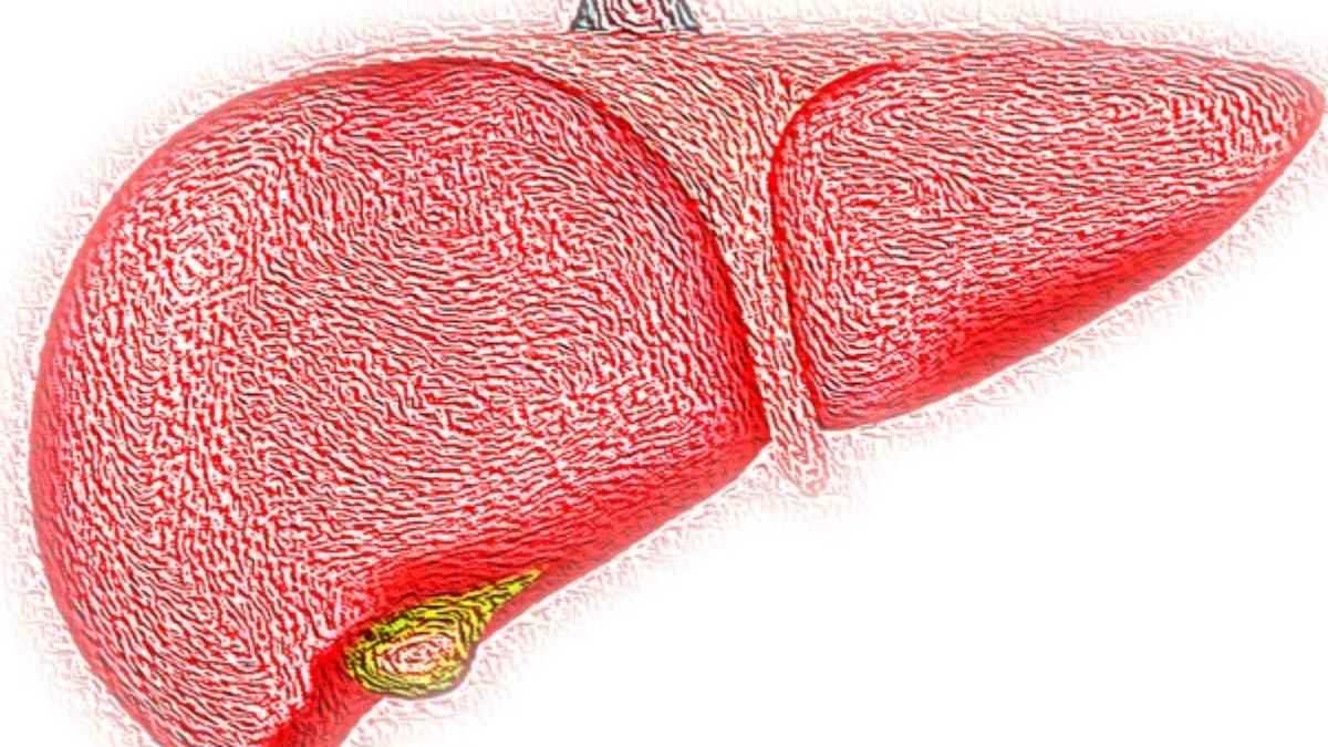 Liver Disease: शराब पीते हैं तो हो जाएं सावधान! शरीर के सिग्नल को समझें, कहीं देर न हो जाए