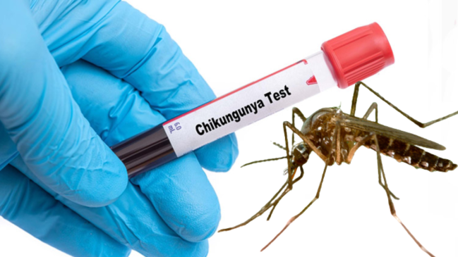 chikungunya virus