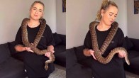 Dani Dabello Pet Snake Bite Bites Co-Star