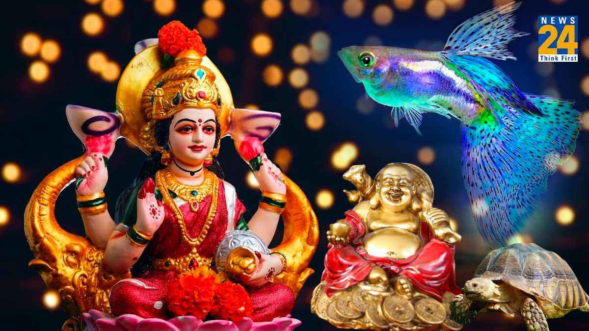 दिवाली से पहले घर ले आए, वास्तु से जुड़ी 5 चीजें, हमेशा भरी रहेगी तिजोरी