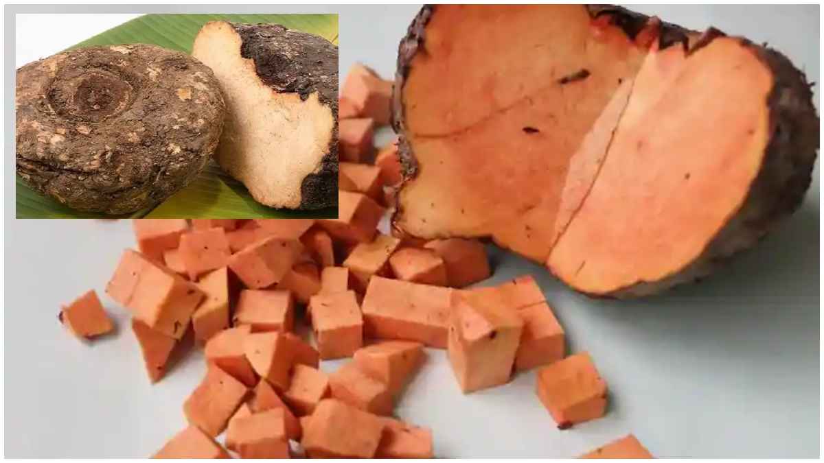 Diwali पर जरूर खाई जाती है जिमीकंद की सब्जी, 5 बीमारियों को दूर करने में मददगार!