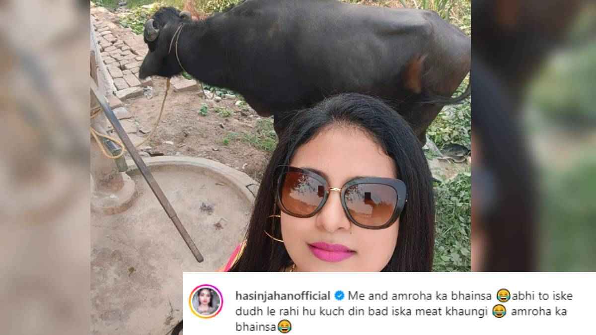 'अभी इसका दूध ले रही हूं, कुछ दिन बाद इसका मीट खाऊंगी', मोहम्मद शमी की वाइफ का पोस्ट वायरल