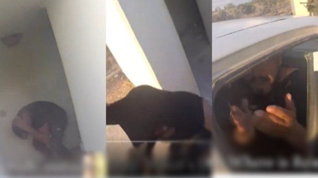 Hamas Terrorists Kidnap Arab Israeli Threatened to Slit Throat