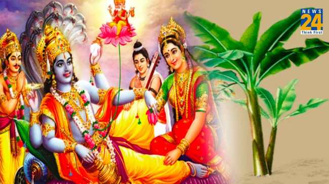 Kele Ke Ped ki Jad Ke Upay