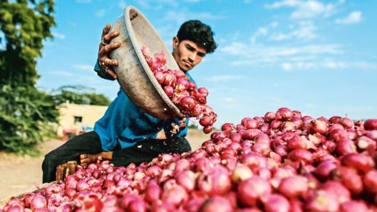 Central Government, onion price decreased