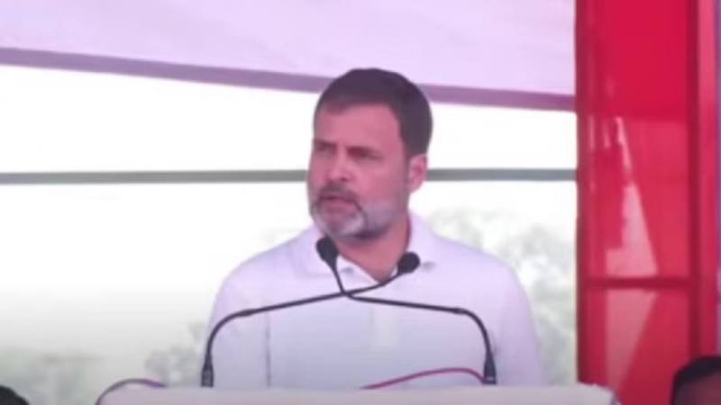 MP Assembly Election 2023, Rahul Gandhi Neemuch Visit, Assembly Election, Election News, Madhya Pradesh News, Congress