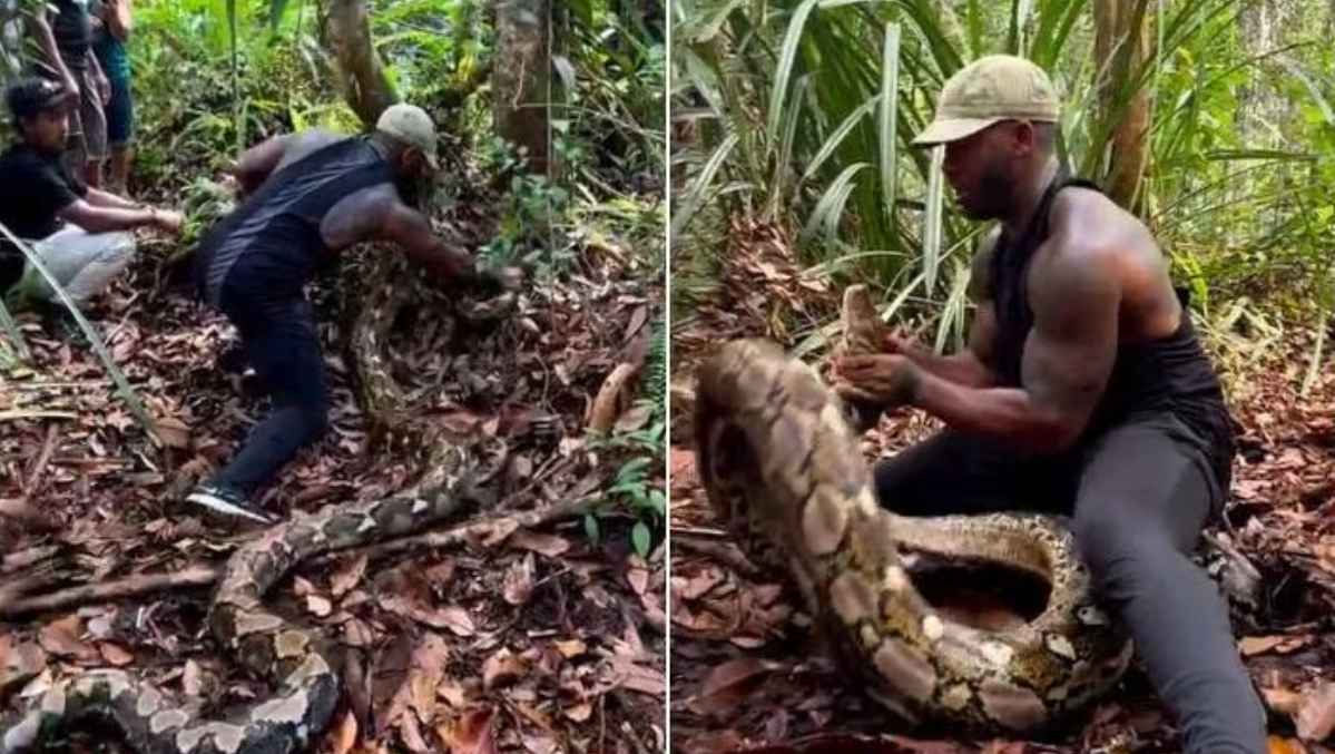मिलिए Real Tarzan माइक होलस्टन से, जो नंगे हाथों से पकड़ लेता है एनाकोंडा जैसे खतरनाक जीव को