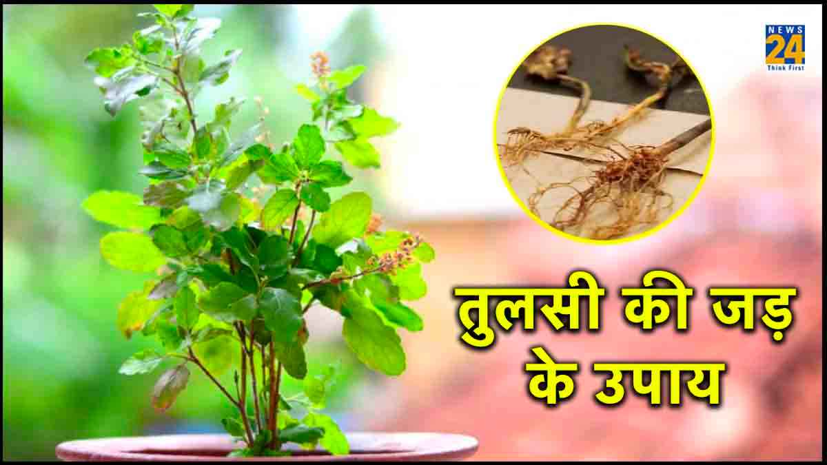 देवउठनी एकादशी पर आज घर के दरवाजे पर बांध दें यह चीज, पूरे साल होगी धन में बरकत