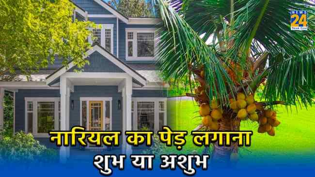 Vastu Plant