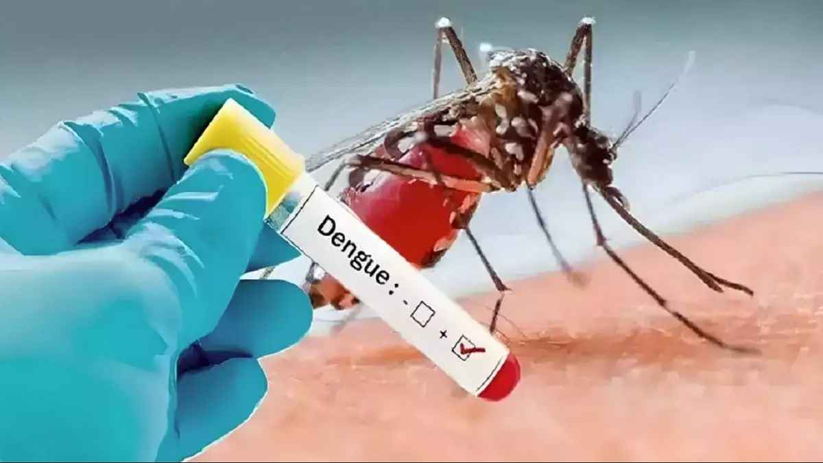 Delhi Dengue Update: दिल्ली शहर में टूटा रिकॉर्ड, करीब 400 मरीज मिले, पिछले साल से 3 गुना ज्यादा