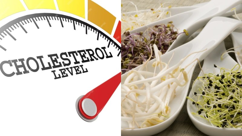 moong sprouts for cholesterol disadvantages of eating sprouts benefits of eating sprouts daily foods that lower cholesterol sprouts benefits for male sprouts benefits for female sprouts advantages and disadvantages sprouts nutritional value per 100g