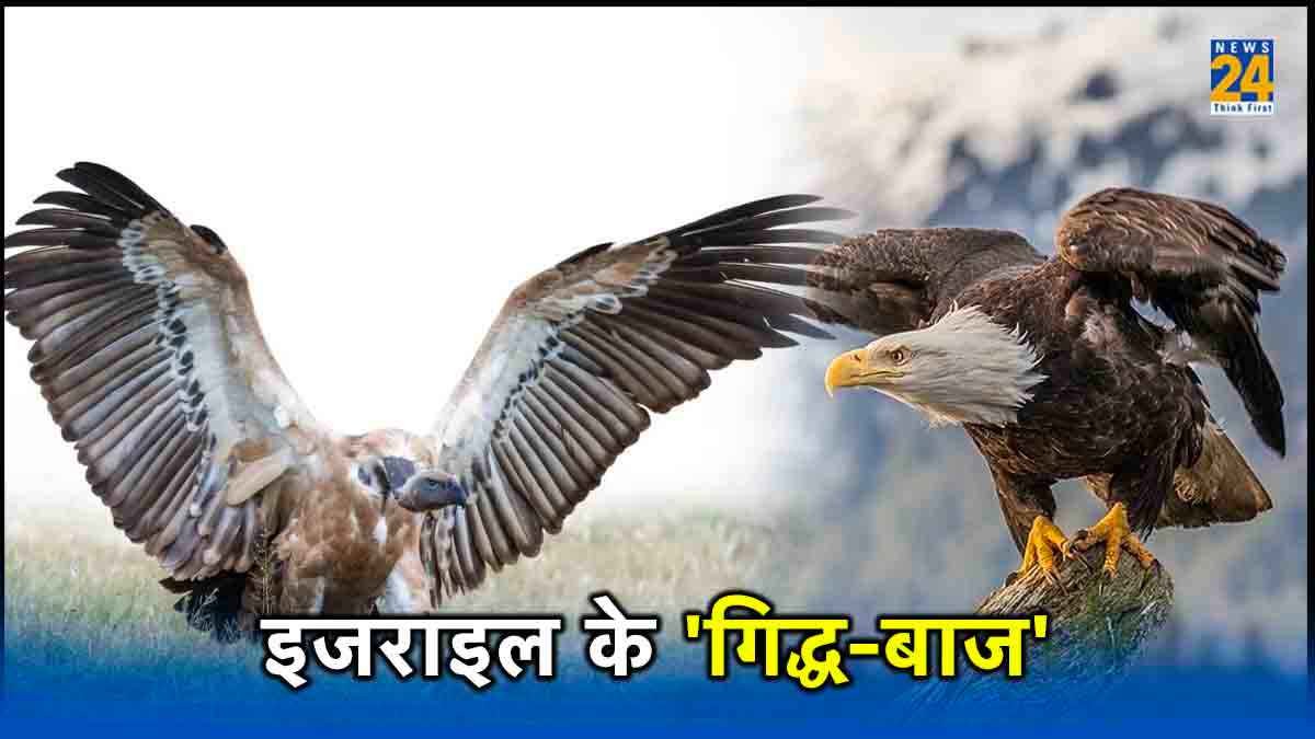 चील-गिद्धों की मदद से लाशें खोज रहा इजराइल, पंजों पर लगाए GPS ट्रैकर
