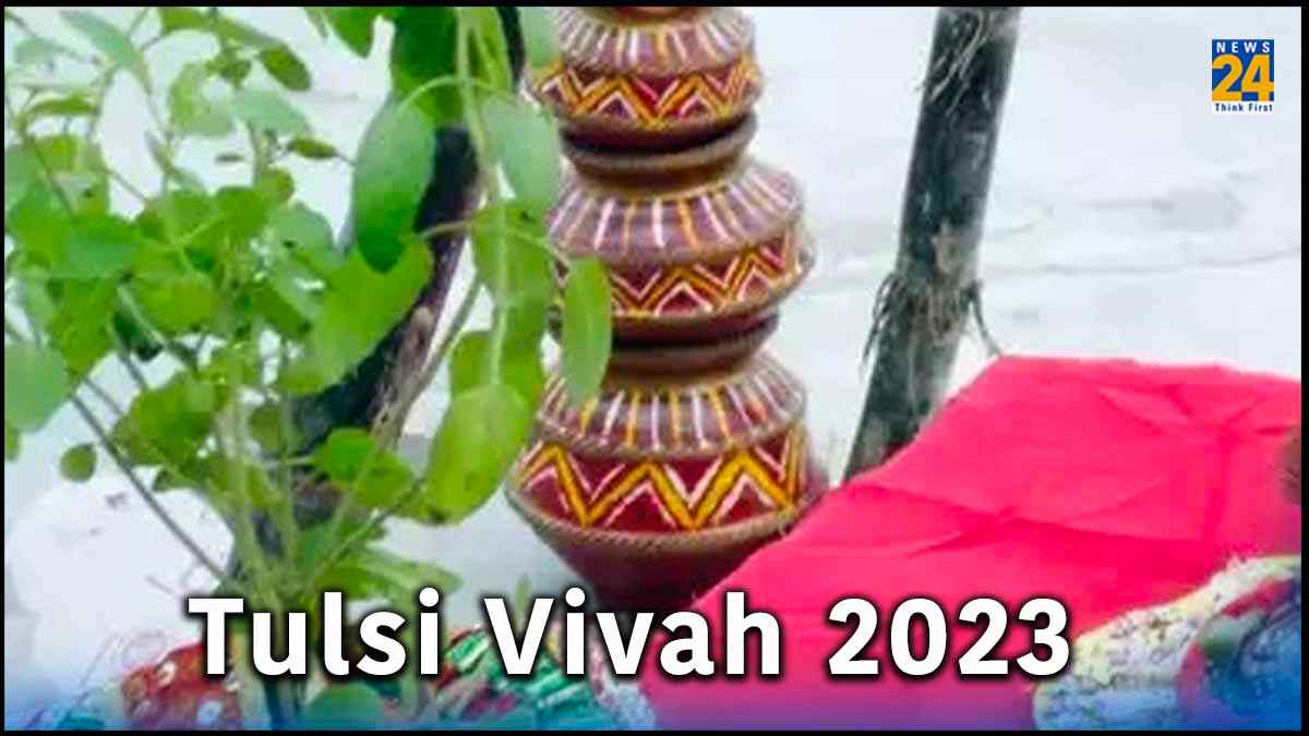 तुलसी विवाह पर इस दिशा में भूलकर भी न रखें तुलसी का पौधा, नहीं मिलता है पूजा का शुभ फल