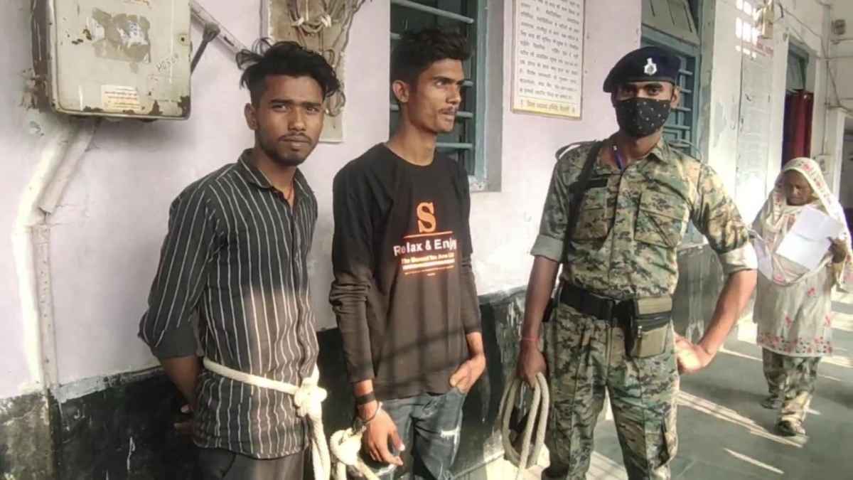 image - 2023-11-23T154441.522