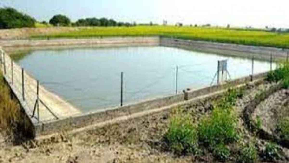 किसानों के लिए बड़ी खुशखबरी, उत्तर प्रदेश सरकार तालाब खुदवाने पर देगी 50 प्रतिशत राशि, जाने पूरी डिटेल