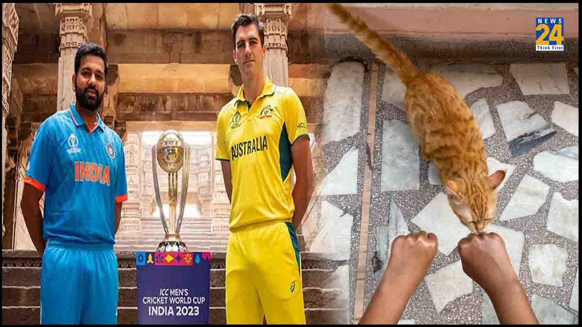 india vs australia Cat Predicts ODI World Cup 2023 Winner