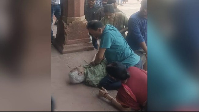 Taj Mahal CPR Video