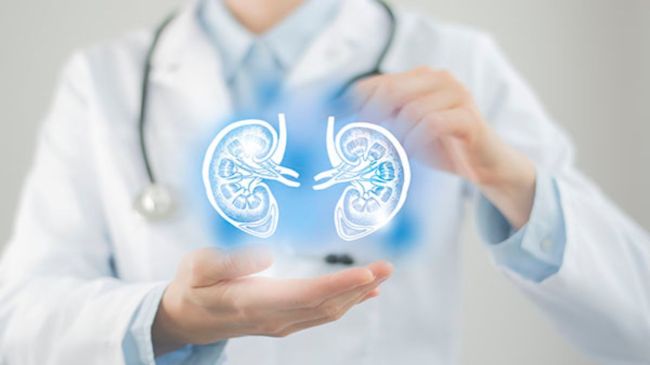 kidney kidney disease symptoms in females what are the signs of dying from kidney failure? what can cause damage to your kidneys what are the first signs of kidney problems how to prevent kidney failure symptoms of kidney problems signs of kidney recovery kidney problems symptoms back pain