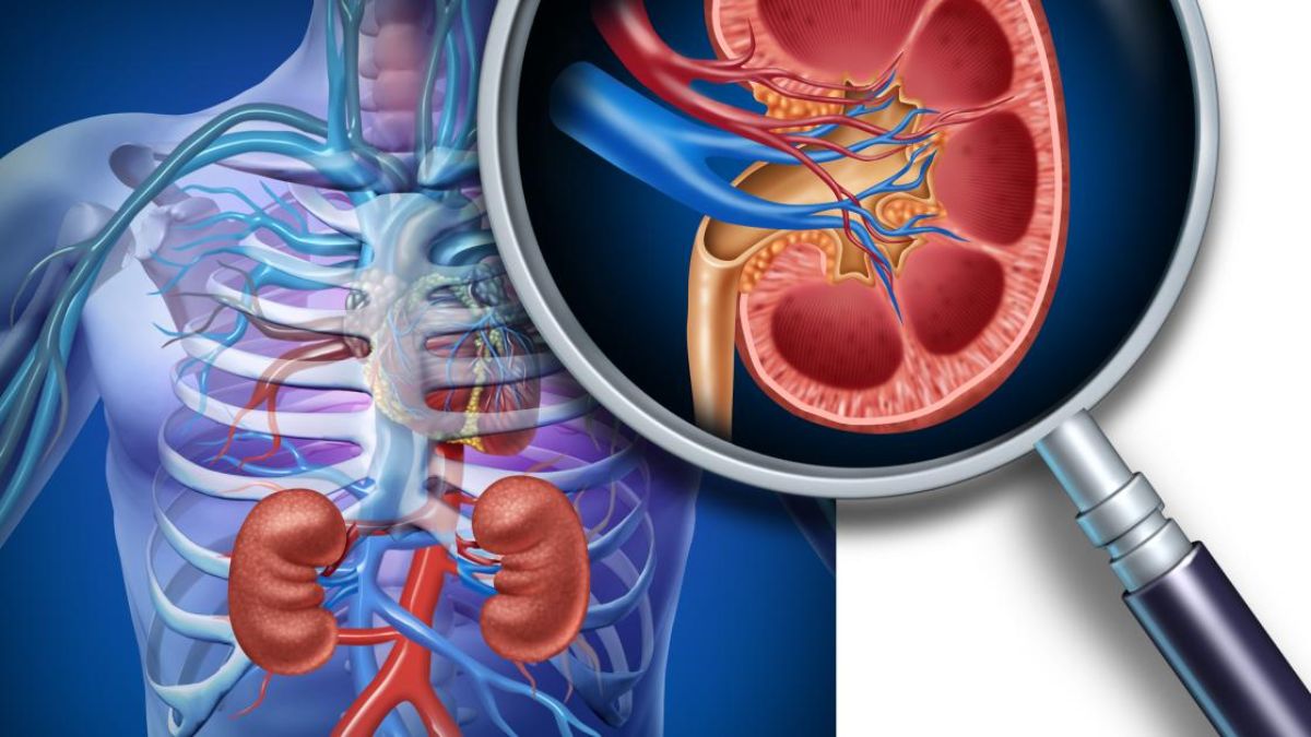 what is the first sign of kidney problems kidney disease symptoms in females what are the 3 early warning signs of kidney disease? what are the signs of dying from kidney failure? types of kidney disease what can cause damage to your kidneys chronic kidney disease treatment how to prevent kidney failure