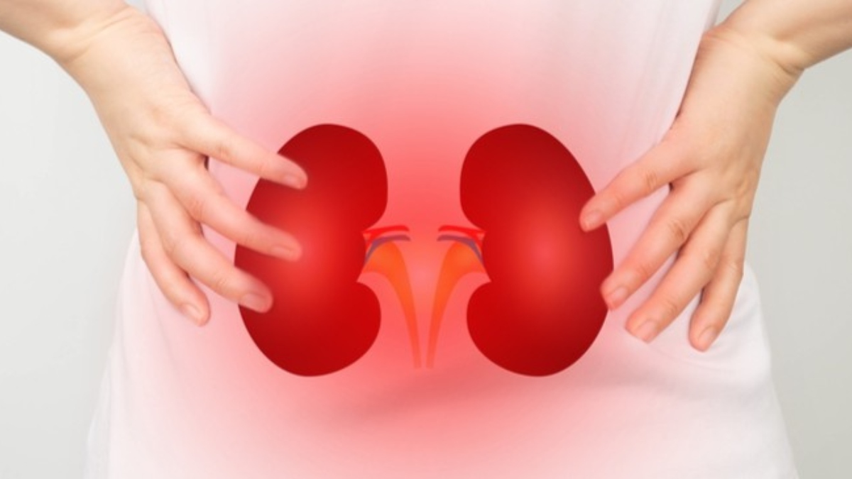 what is the first sign of kidney problems kidney disease symptoms in females what can cause damage to your kidneys what are the signs of dying from kidney failure? what color is urine when your kidneys are failing how to prevent kidney failure kidney problems symptoms back pain symptoms of kidney problems