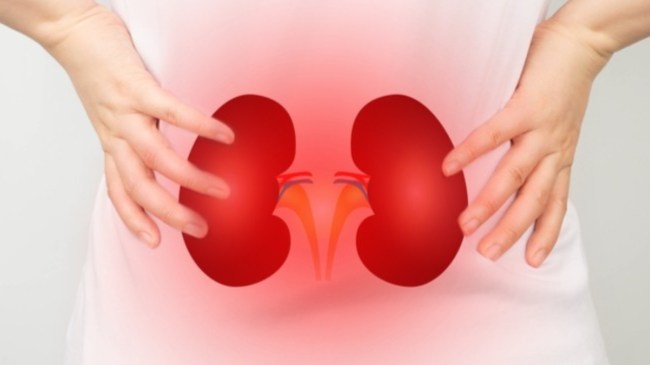 what is the first sign of kidney problems kidney disease symptoms in females what can cause damage to your kidneys what are the signs of dying from kidney failure? what color is urine when your kidneys are failing how to prevent kidney failure kidney problems symptoms back pain symptoms of kidney problems
