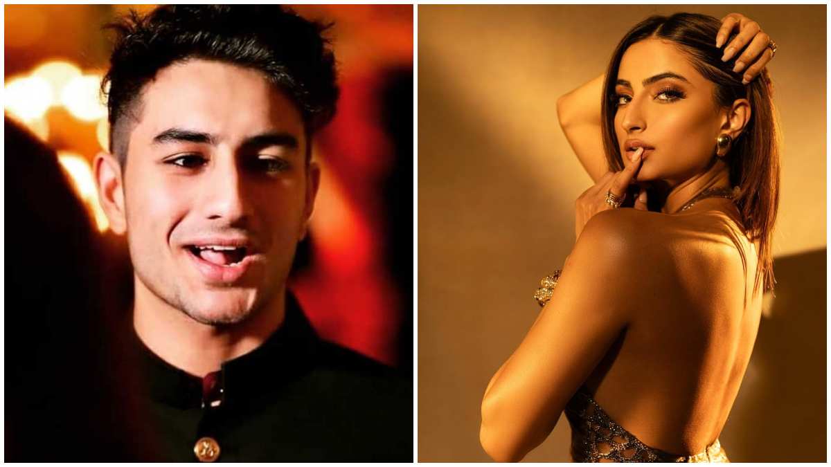 Ibrahim Ali Khan Palak Tiwari Relationship