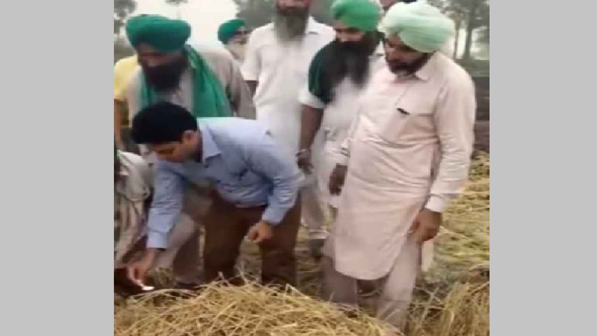 Stubble Burning