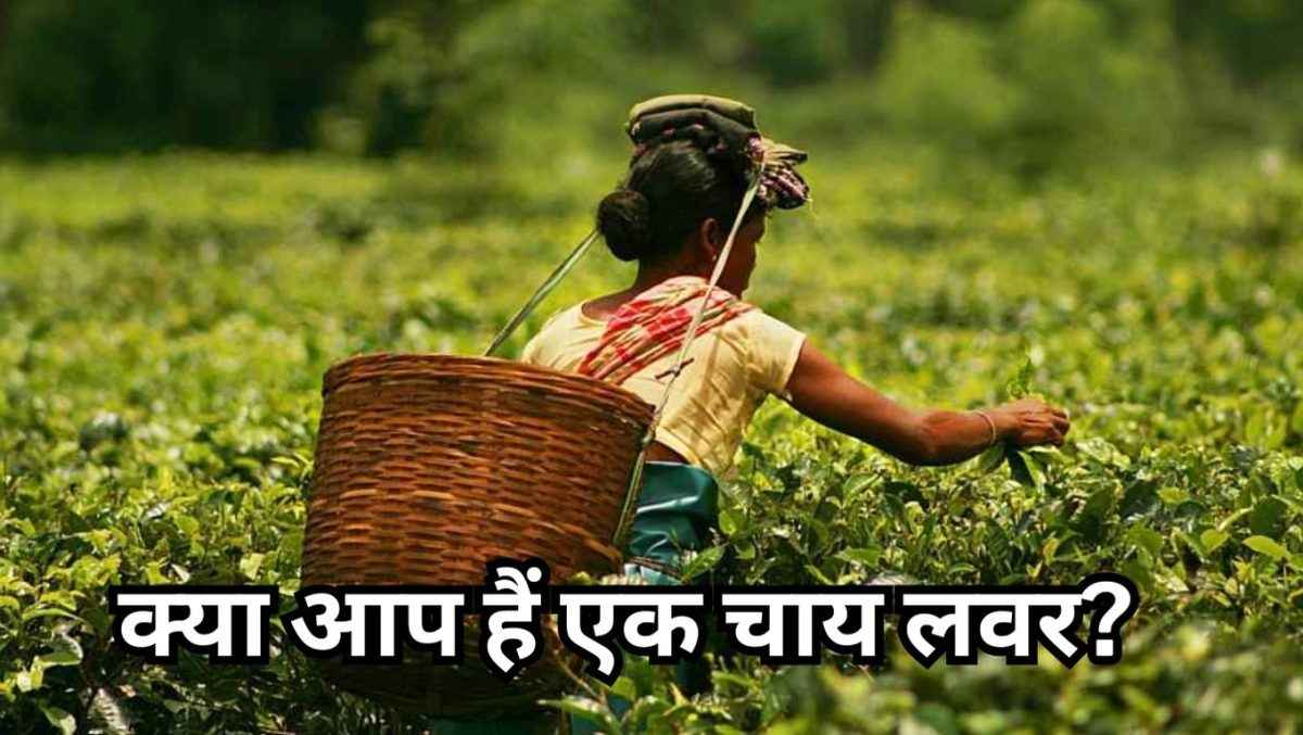 क्या आप जानते हैं किस शहर को कहा जाता है 'City of Tea'?