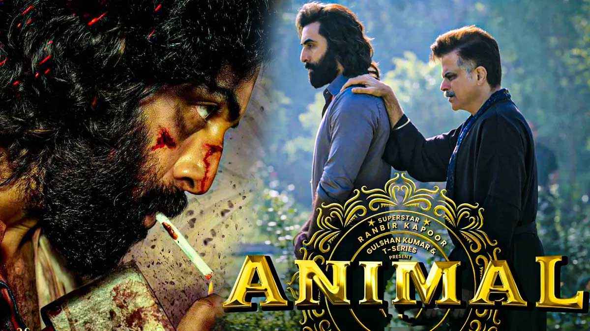 Animal Box Office Collection