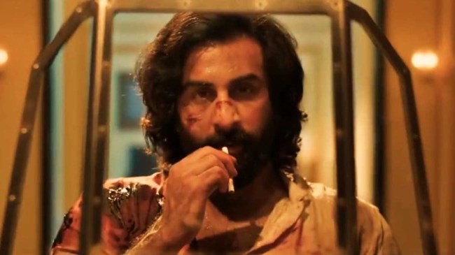 Animal Box Office Collection