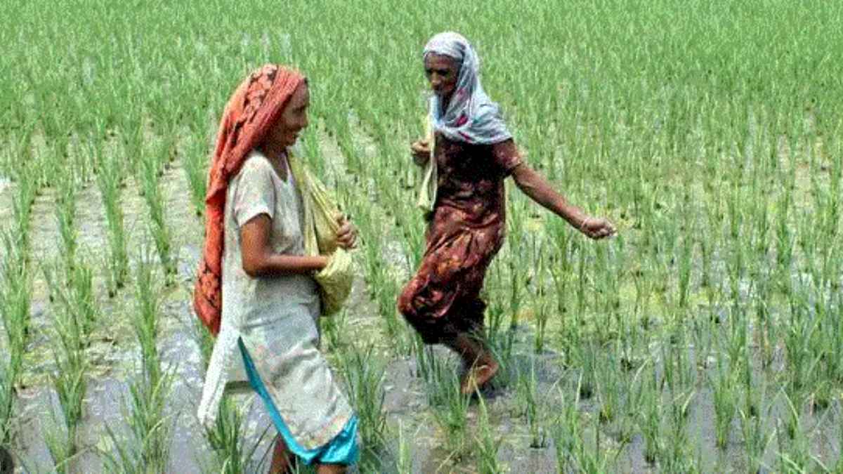Explainer: चुनावों में किया वादा पूरा करने में कितना आएगा खर्च, आसान नहीं होगा?