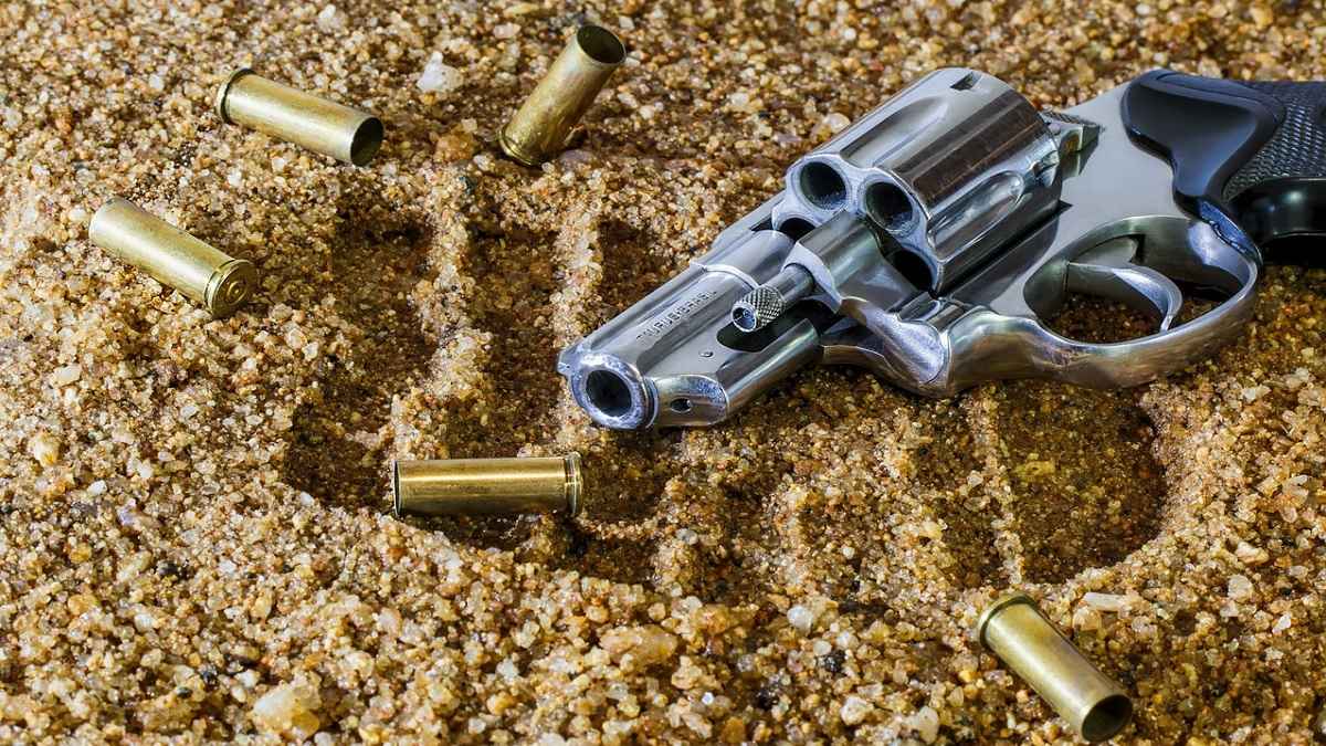 Gun Violence