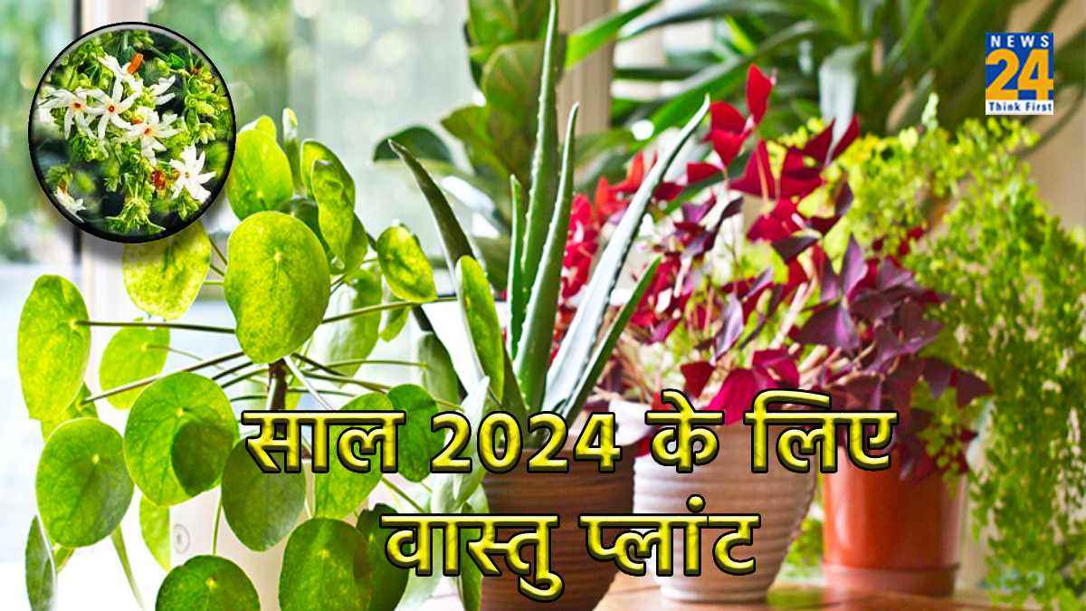 Lucky Plants Year 2024: नए साल 2024 में लगाएं घर पर ये खास तरह के पौधे, चमक उठेगी किस्मत