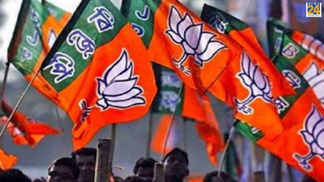 Madhya Pradesh BJP cabinet Madhya Pradesh BJP cabinet, BJP cabinet, MP News, cabinet, BJP, MLA, Election News