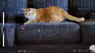 NASA Sends Cat Video To Earth From Spaceship