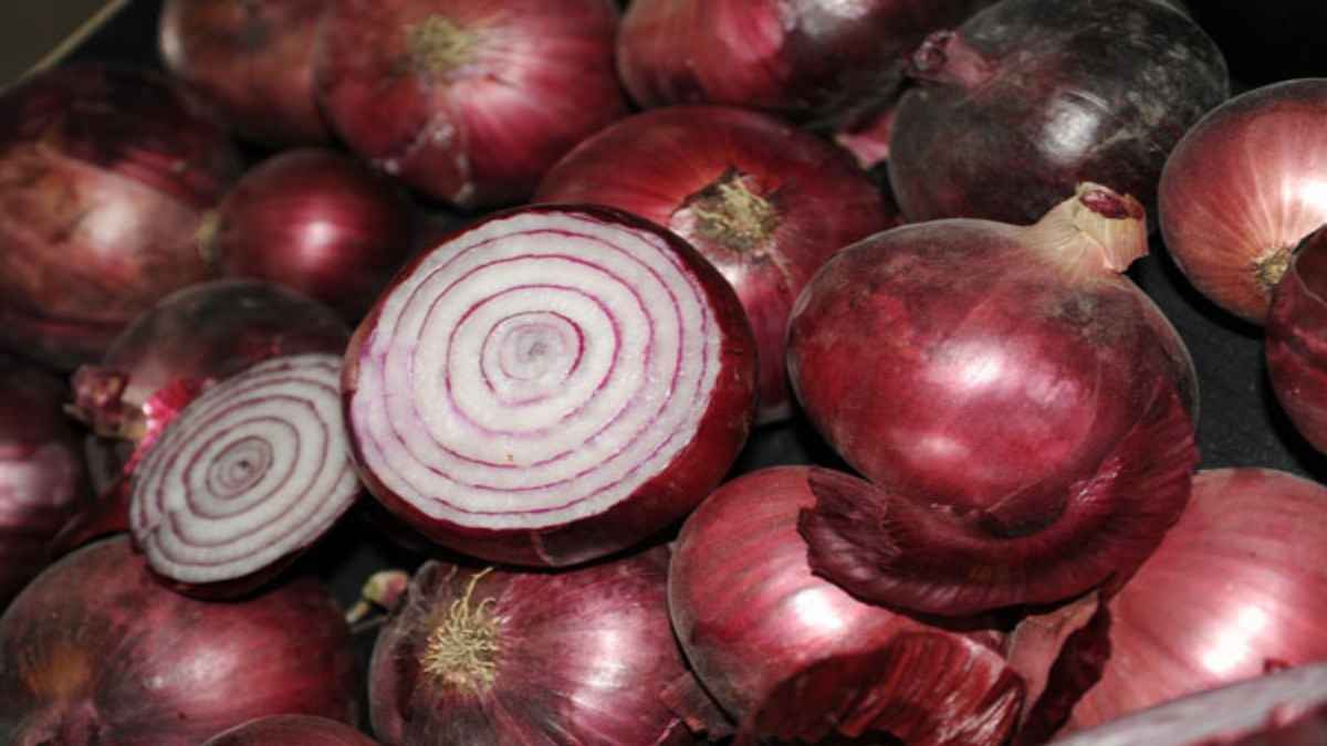 Onion