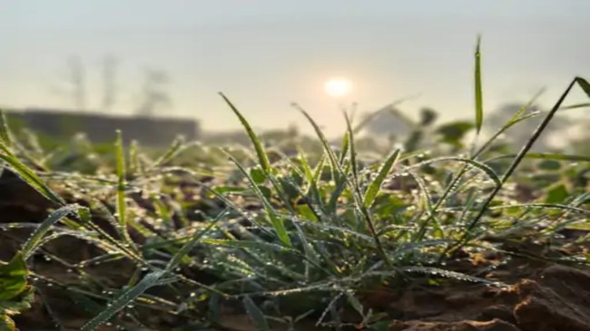 Rajasthan Weather Update Snowfall in Mount Abu